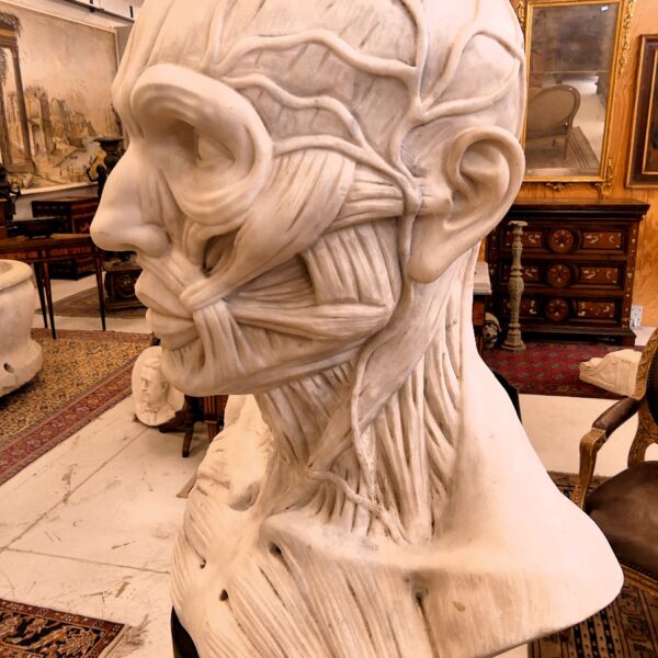 GRANDE E'CORCHE' IN MARMO PRIMI DEL XX SECOLO