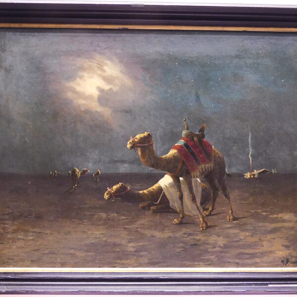 M.BOUVIER "NOTTE NEL DESERTO"